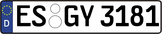 ES-GY3181
