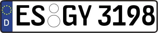 ES-GY3198