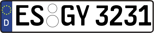 ES-GY3231
