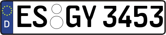 ES-GY3453