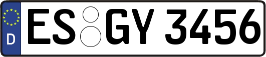 ES-GY3456