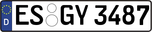 ES-GY3487