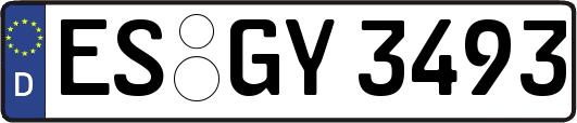 ES-GY3493