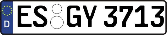 ES-GY3713