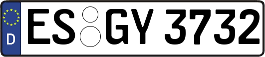 ES-GY3732