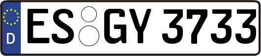ES-GY3733