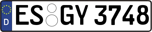 ES-GY3748