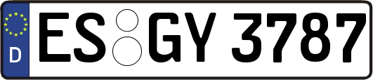 ES-GY3787