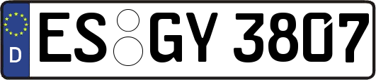 ES-GY3807