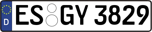 ES-GY3829
