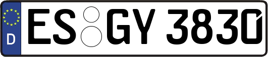 ES-GY3830