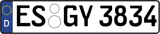 ES-GY3834