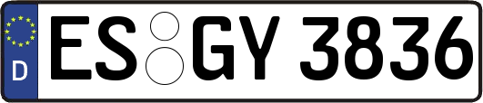 ES-GY3836