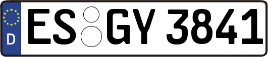 ES-GY3841