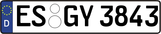 ES-GY3843