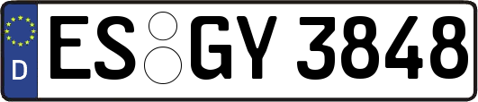 ES-GY3848
