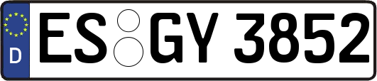 ES-GY3852