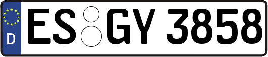 ES-GY3858