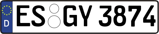 ES-GY3874