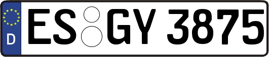 ES-GY3875