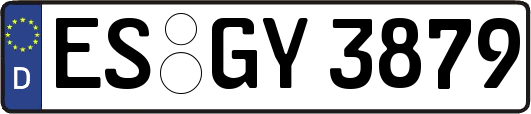 ES-GY3879