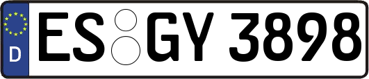 ES-GY3898