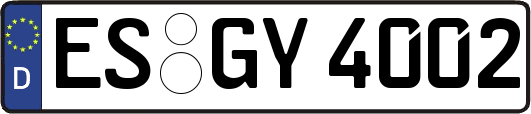 ES-GY4002