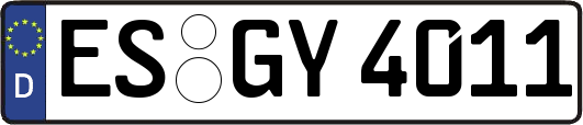 ES-GY4011