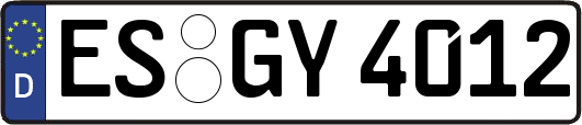 ES-GY4012