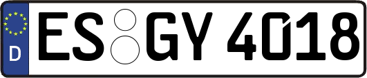 ES-GY4018