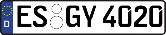 ES-GY4020