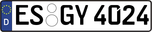 ES-GY4024