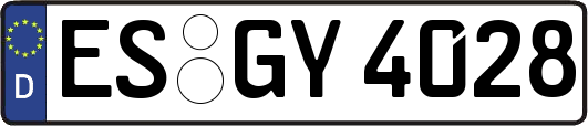 ES-GY4028