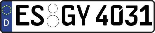 ES-GY4031