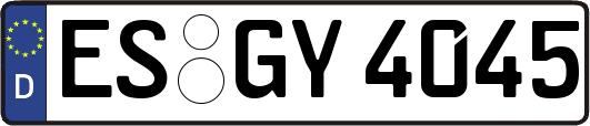 ES-GY4045