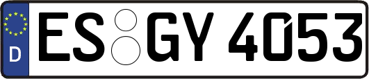 ES-GY4053