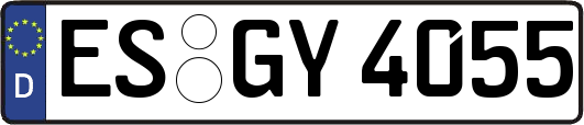 ES-GY4055