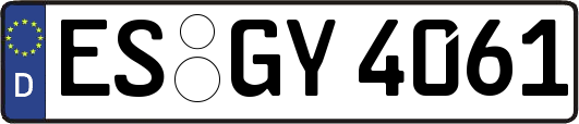 ES-GY4061