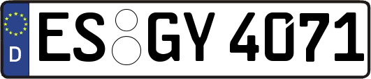 ES-GY4071