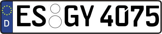 ES-GY4075