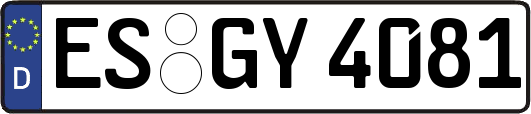 ES-GY4081