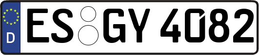 ES-GY4082