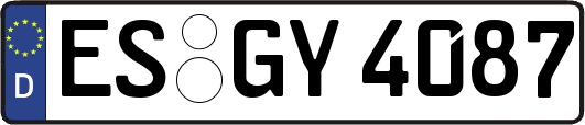 ES-GY4087