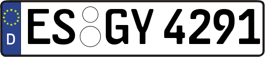 ES-GY4291