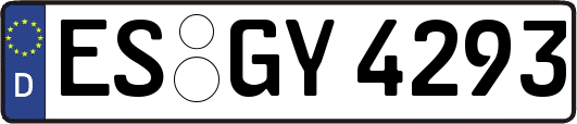 ES-GY4293
