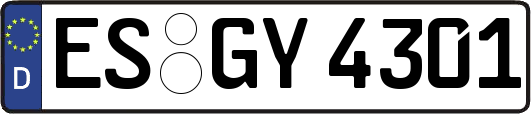 ES-GY4301