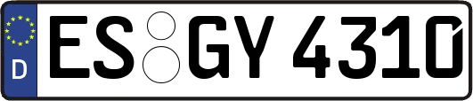 ES-GY4310