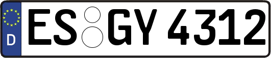 ES-GY4312