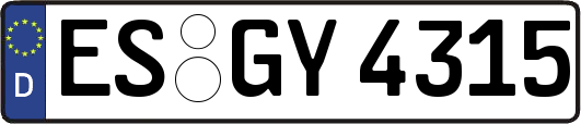 ES-GY4315