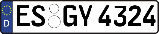 ES-GY4324